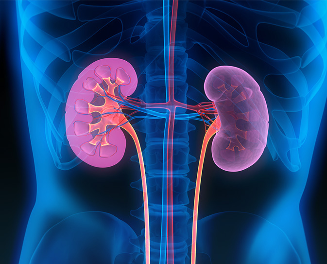 Kidney Disease